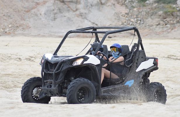 Combo Double Utv + Horses