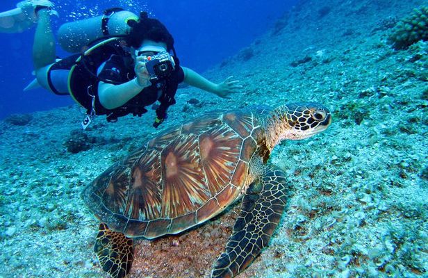 Discover Scuba Diving