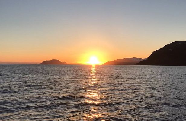 Tromsø: Midnight Sightseeing Cruise All-Inclusive