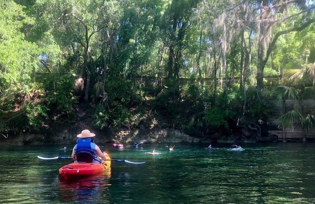 Wekiva River Guided Kayak Tour