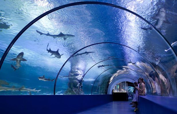 Side: Aquarium, Wax Museum, Snow World, Wild Park, XD Cinema