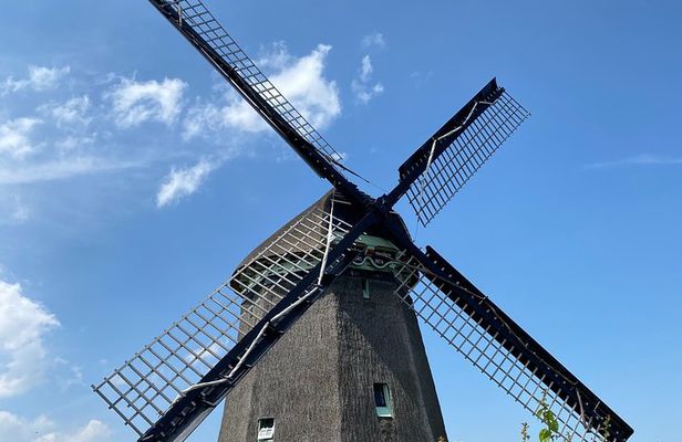 Zaanse Schans Windmills & Zaandam: Countryside Electric Bike Tour