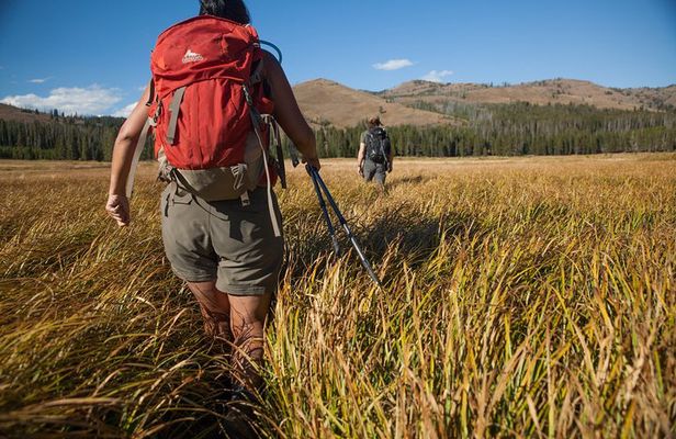Yellowstone Full Day Private Hike
