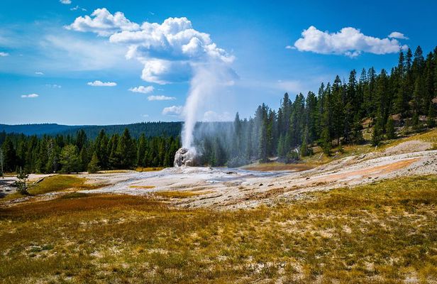 Yellowstone Full Day Private Tour & Hike - Pickup from Gardiner