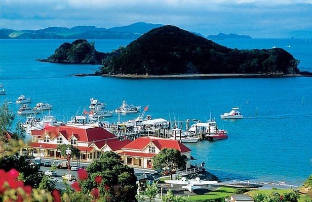 Waitangi Treaty Ground Day Trip Private Transport From Auckland