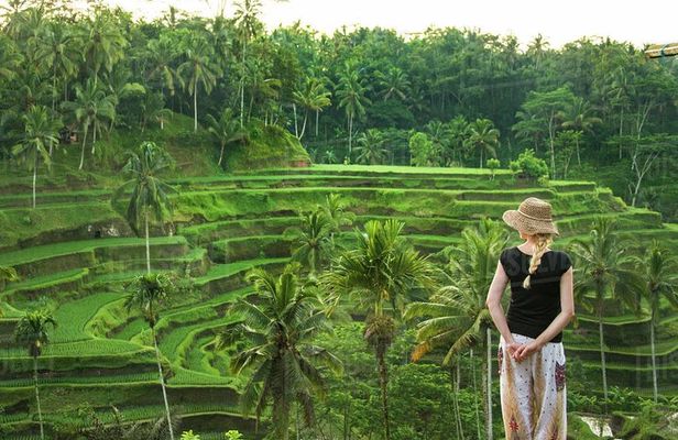 Ubud: Monkey Forest, Jungle Swing, Rice Terrace and Water Temple