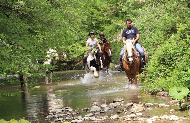 Private Horse Ride Adventure in Modica with Instructor