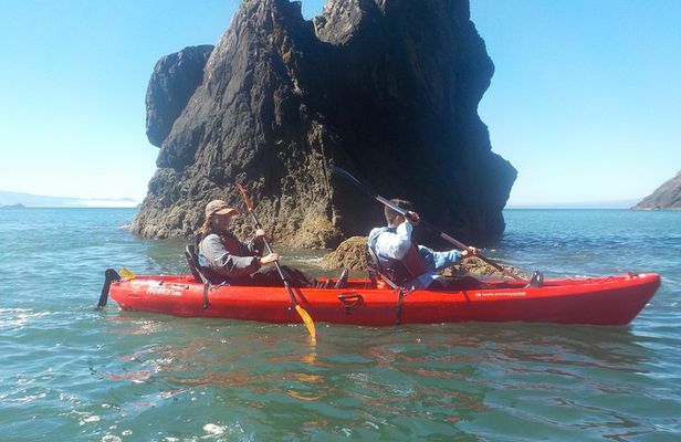 Ocean Kayaking Experience in Brookings