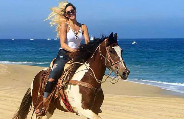 Cabo San Lucas Horseback Ride on Beach and Desert