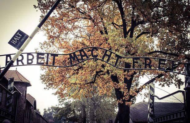 Auschwitz Private Tour
