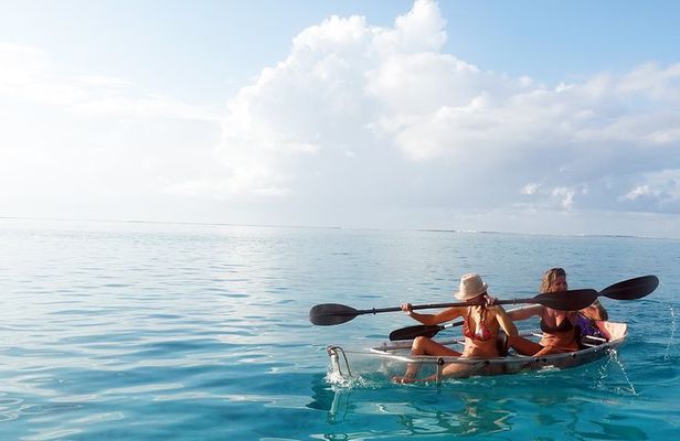Moorea Lagoon Tour by Transparent Kayak