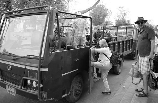 Ranthambore Safari Admission tickets : Choose your Option