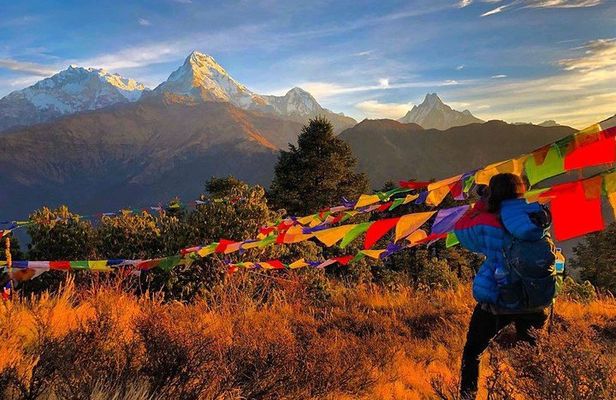 4 Days Poon hill trekking from Pokhara