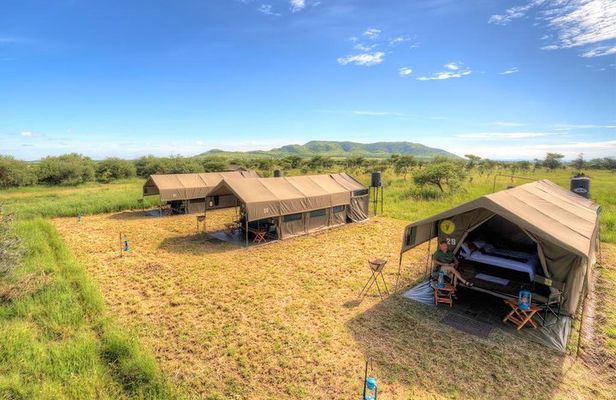 6-Day Private Tanzania Safari
