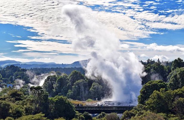 Rotorua Day Trip To Visit Te Puia Geothermal Wonderland
