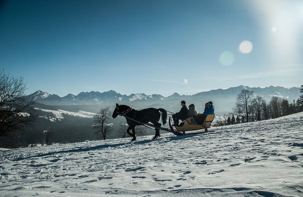 Zakopane and Horse Sleigh Ride in the countryside, private tour from Krakow