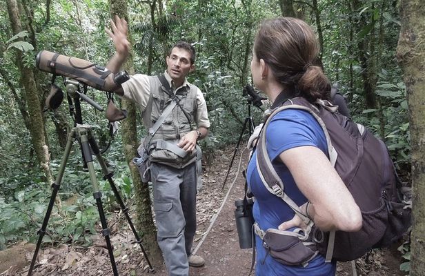 Private Natural History Walk by Pasión Costa Rica