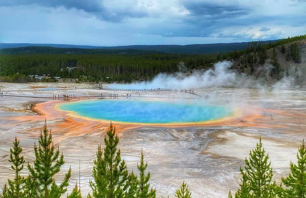 Exclusive Private Yellowstone Adventure: Explore The Lower Loop