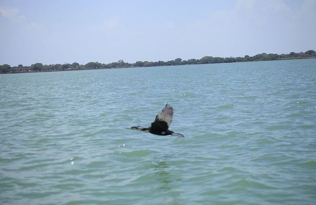 City tour of Bahir Dar