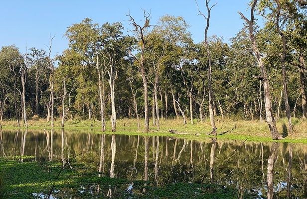 3 Nights 4 Days Comfortable Chitwan Safari Tour