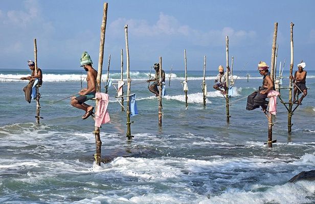 14-nights/15-days Sri Lanka round tour by Minivan - with Udawalawa Safari