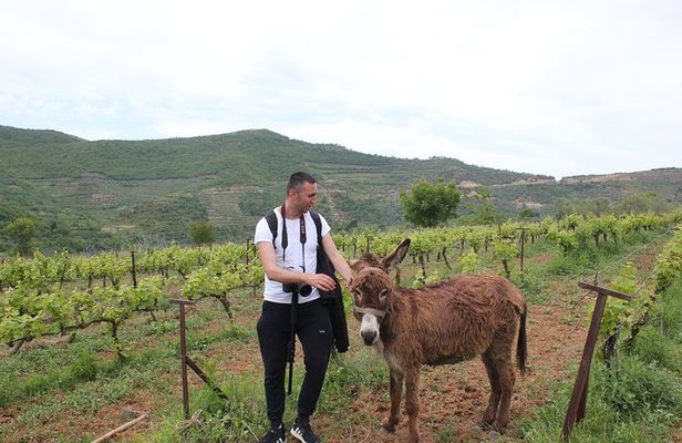 Albanian Highlights - UNESCO sites ,Nature and Food tour