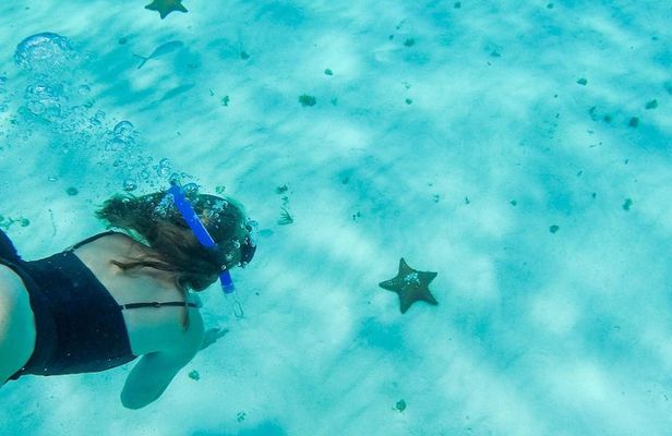 El Cielo Cozumel, a paradisiacal tour. Be amazed by the stars near to you.