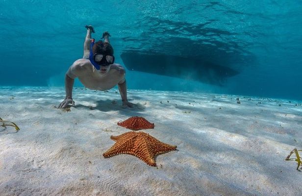 Snorkeling adventure through 'El Cielo' Cozumel. Included Food & Transportation