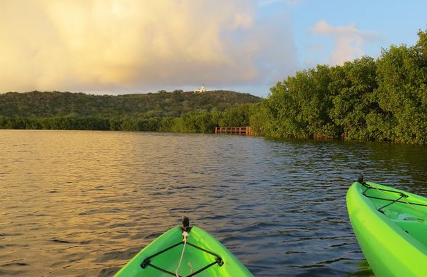 Bioluminescent Glowing Bay Kayaking Adventure in Puerto Rico