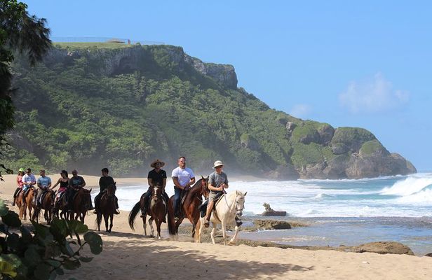 Horseback Riding through Secluded Beaches and Tropical Forests