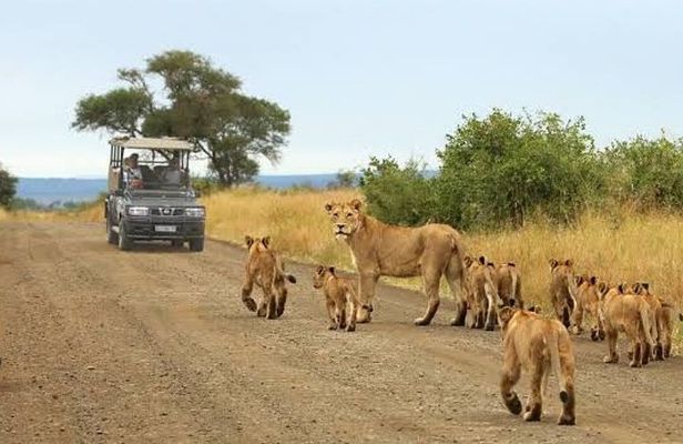 2 Days Mid-Range Safari to Lake Manyara and Ngorongoro Crater