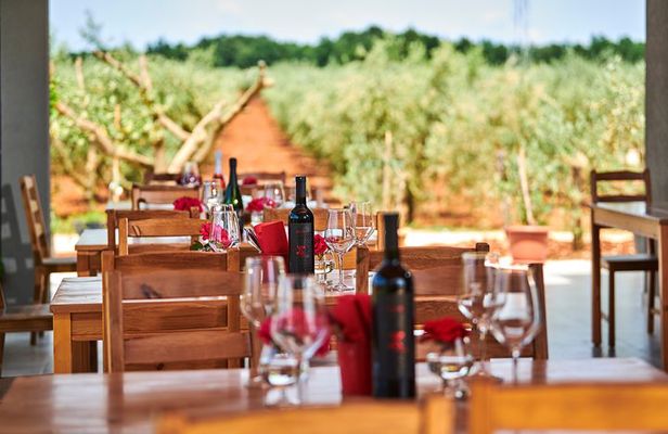 PERVINO - Wine tasting