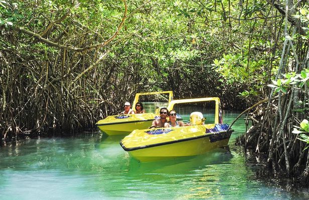 Speedboat and snorkel adventure