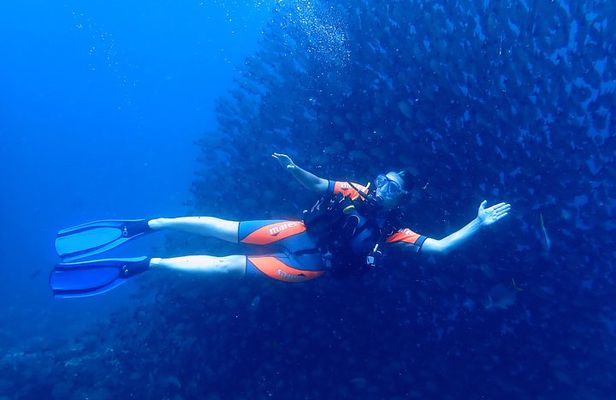 Scuba Refresher Course (half day)