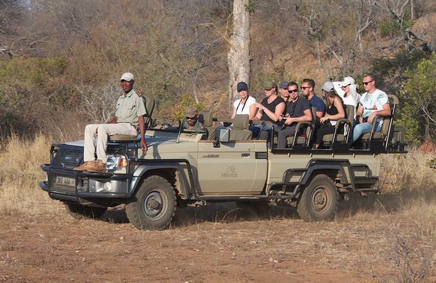 Greater Kruger National Park 4 day safari at a private game lodge