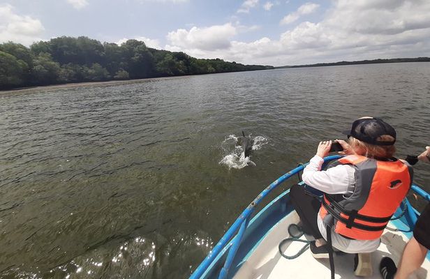 Dolphin Watching in Puerto El Morro from Guayaquil