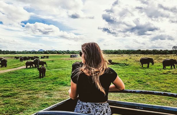 Kaudulla National Park Shared Safari