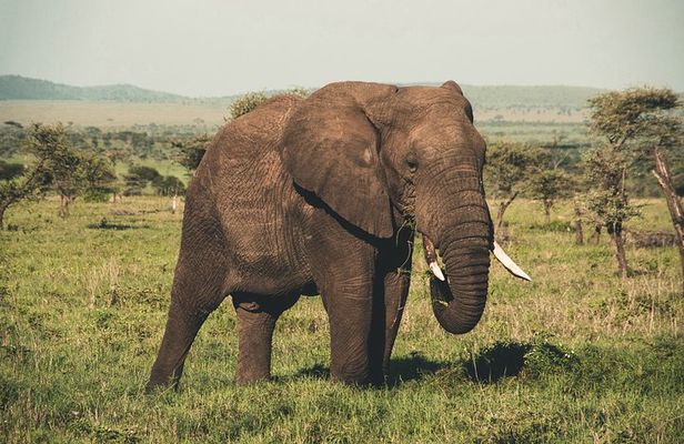 Wasgamuwa National Park Private Safari