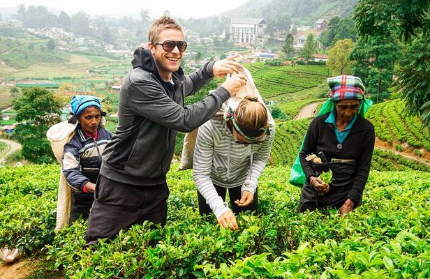 Nuwara Eliya Highlands from Kandy