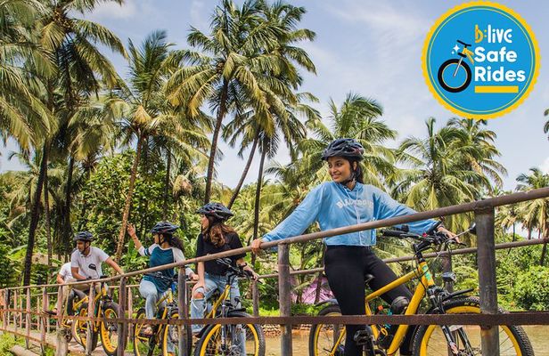 Electric bike hot sale holidays