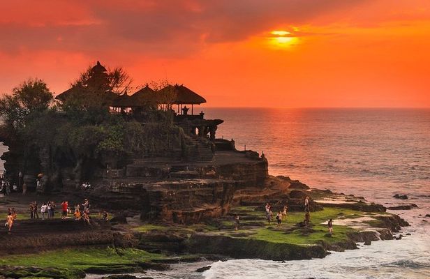 Ubud Bali Tour and Spa Treatment