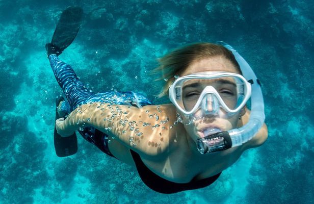 Snorkeling in Dhiffushi