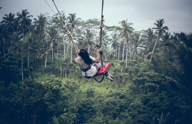 Ubud Customized Private Tour