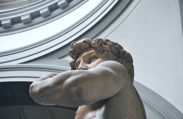 Florence Tour: Michelangelo's David and Historic Center