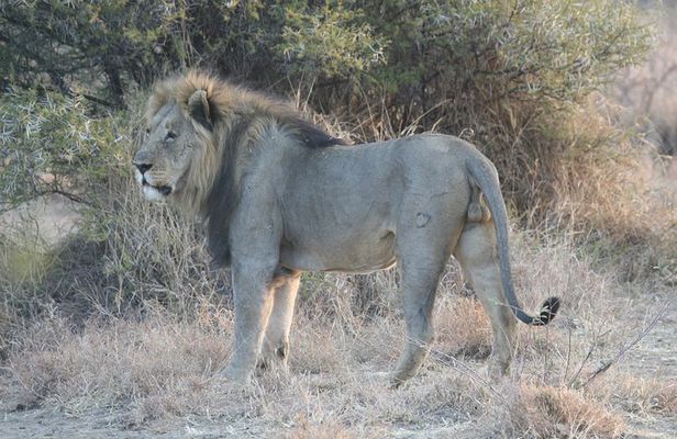 1-day Tanzania small group sharing safari - Manyara N.P