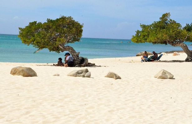 Private Tour: Essential Tour of Aruba