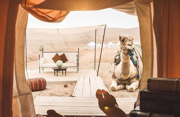 Full-Day Private Camel Ride in Agafay Desert with Lunch