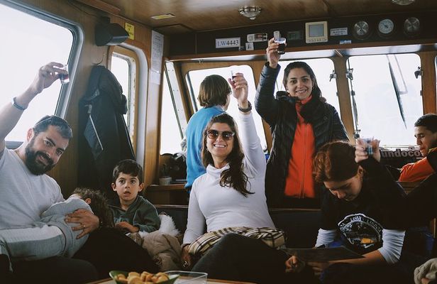 Sailing Ushuaia Beagle Channel in a yatch