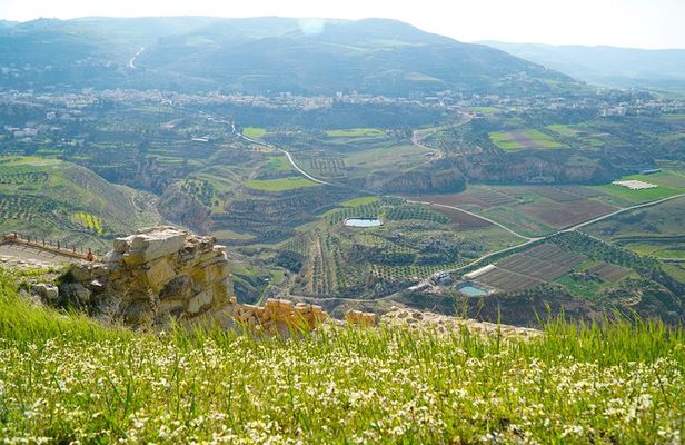 5-Night Private Magic Jordan Tour: Dead Sea, Mount Nebo, Amman, and Jerash 