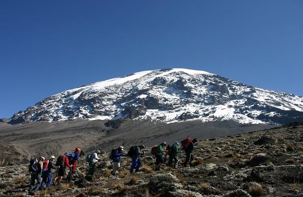 Mt. Kilimanjaro 5 Days Trek - Marangu Route